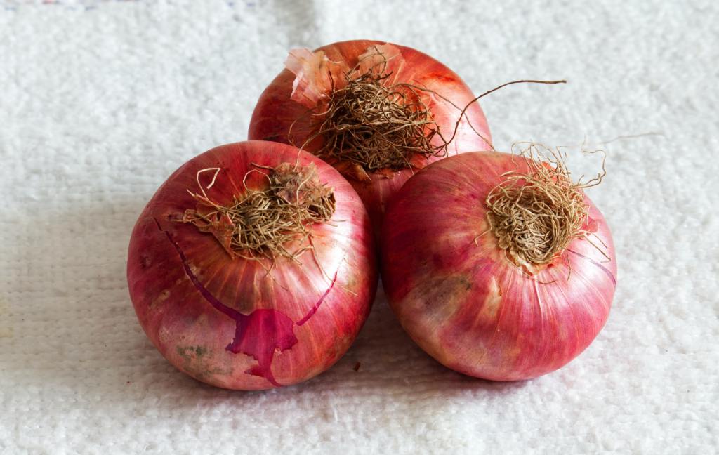 Seasonal Vegetable |Onion | Wellnisa