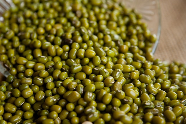 This image has an empty alt attribute; its file name is 1493b-mung-beans-390017_640.jpg