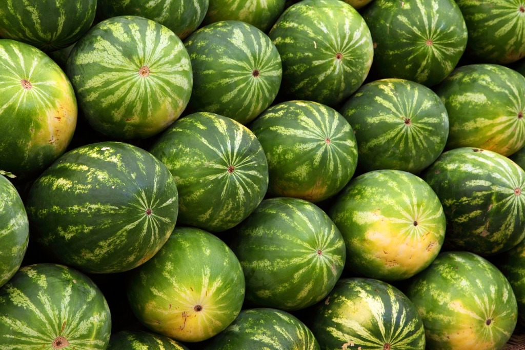 watermelon | Wellnisa